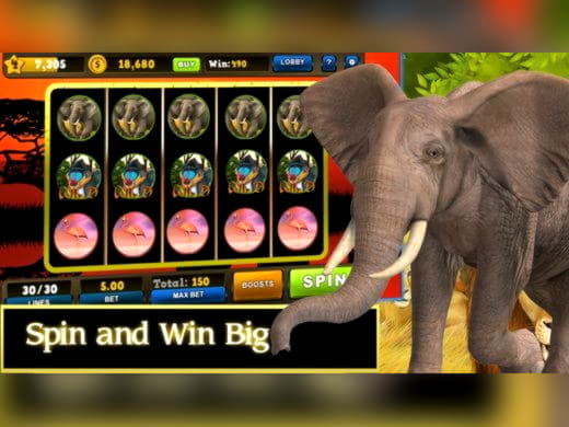 EURO 425 Gratis-Chip im Spin Palace Casino
