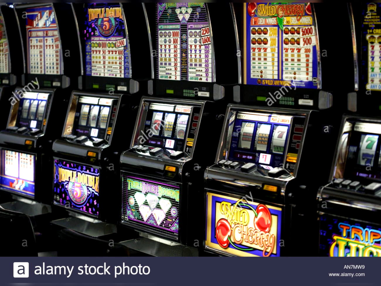 €515 Tournament at bWin Casino